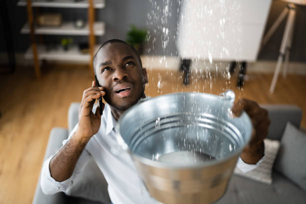 Best Water damage contractors near me  in Marlboro, NY