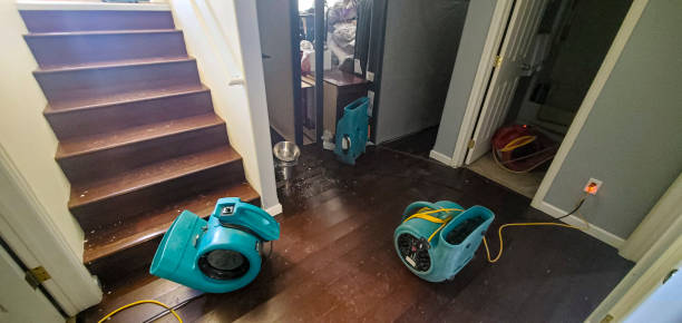Best 24-hour water damage restoration  in Marlboro, NY