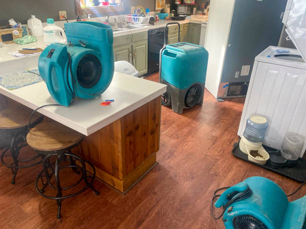 Best Residential water damage restoration  in Marlboro, NY