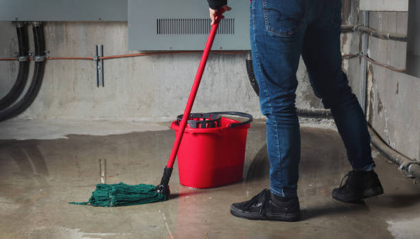 Best Emergency water extraction  in Marlboro, NY
