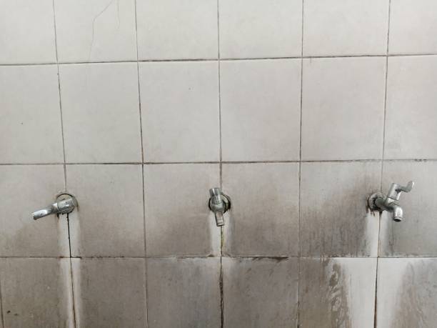 Best Basement water damage restoration  in Marlboro, NY