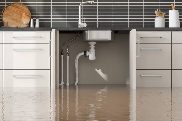 Best Flood damage cleanup  in Marlboro, NY