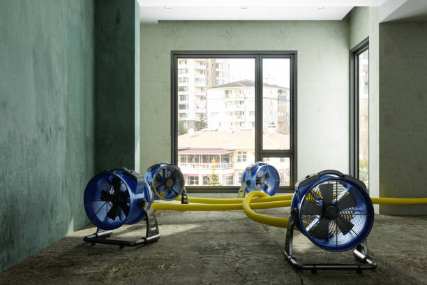 Best Water damage restoration near me  in Marlboro, NY